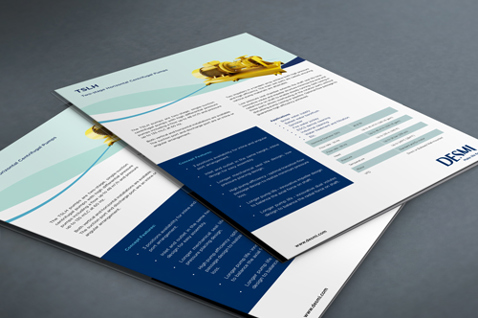DESMI brochurer med TSLH centrifugalpumpe til marine- og offshoreapplikationer.