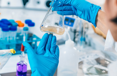 En videnskabsmand iført blå handsker undersøger en kolbe i et laboratoriemiljø.