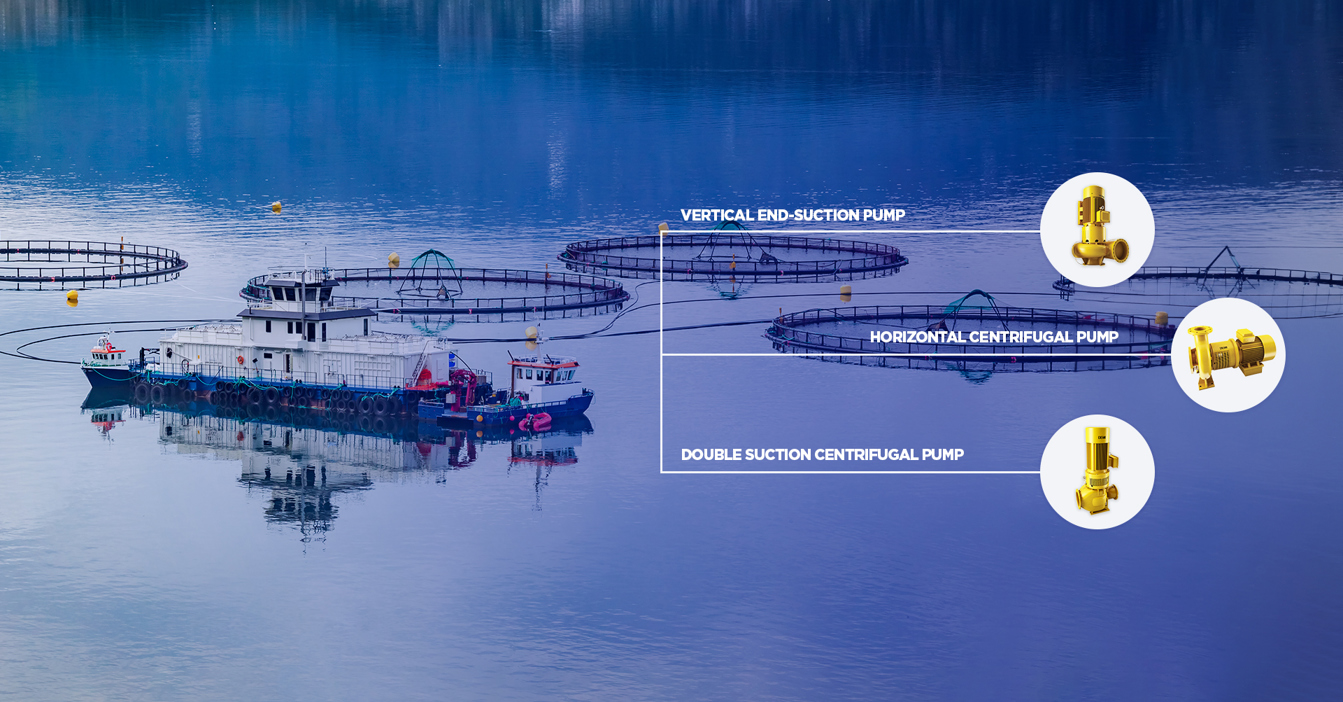 Fiskeopdræt med DESMI pumper: vertikal endesugning, horisontal centrifugal, dobbelt sugende centrifugal.