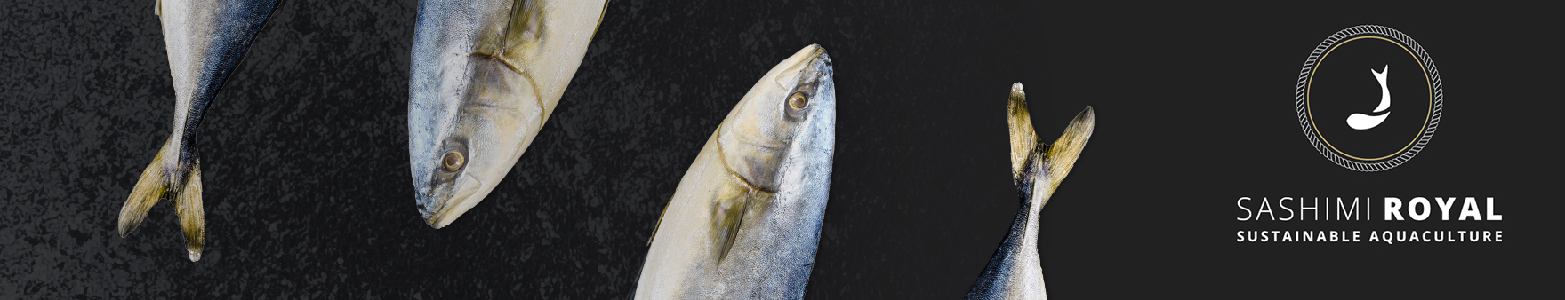 Tre fisk med Sashimi Royal bæredygtigt akvakultur logo på en mørk baggrund.